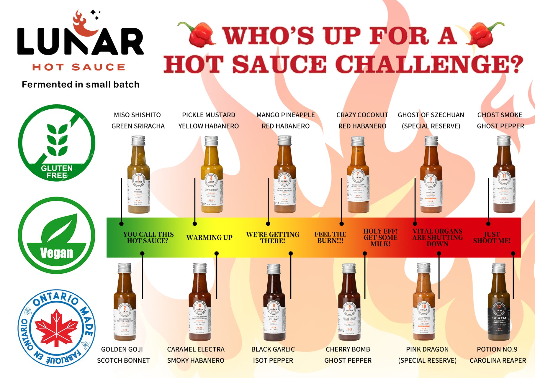 MINI BOTTLES HOT SAUCE GIFT BOX 12 FLAVOURS + FREE SHIPPING!